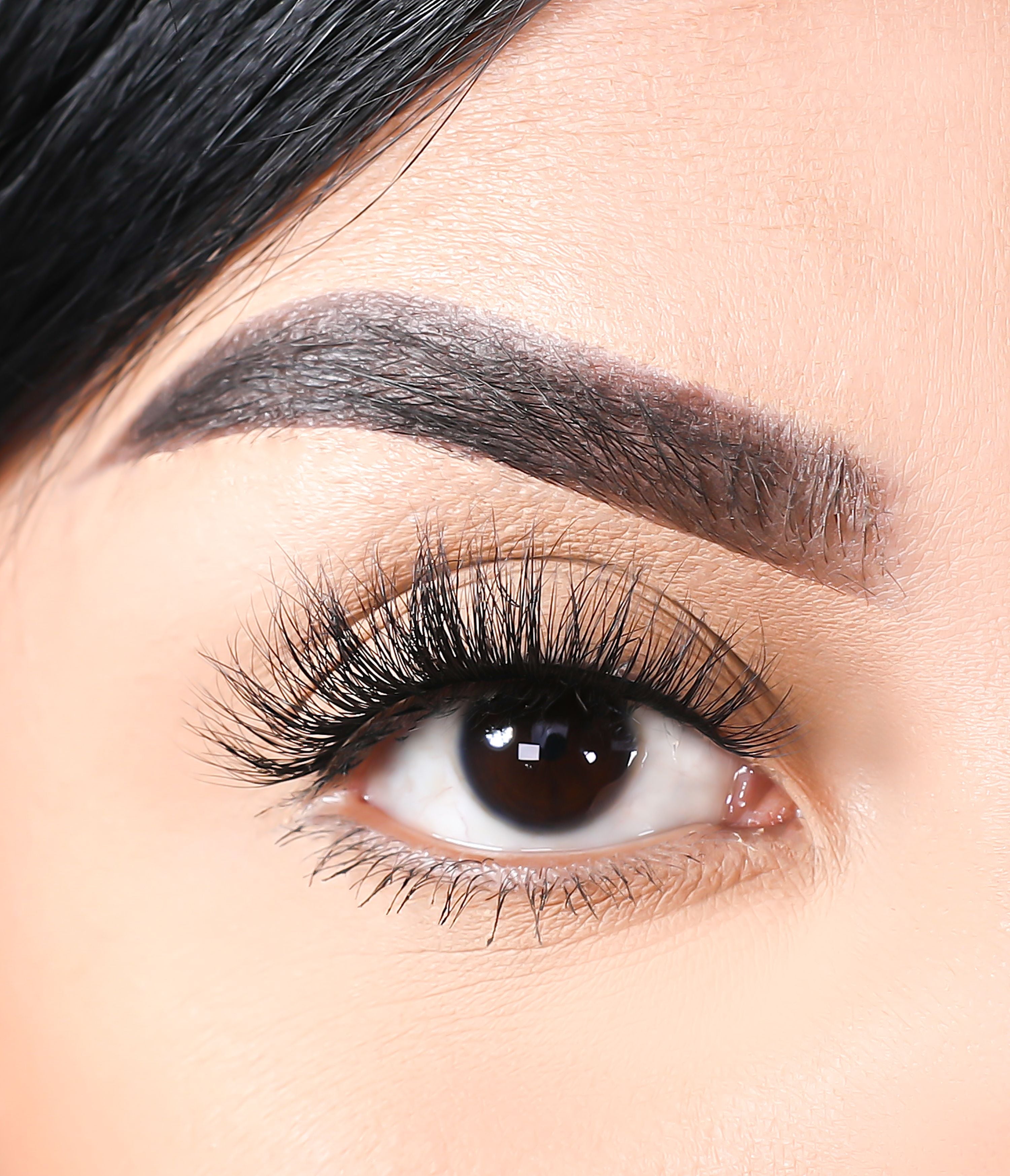 3D Mink Eyelashes - Wolves