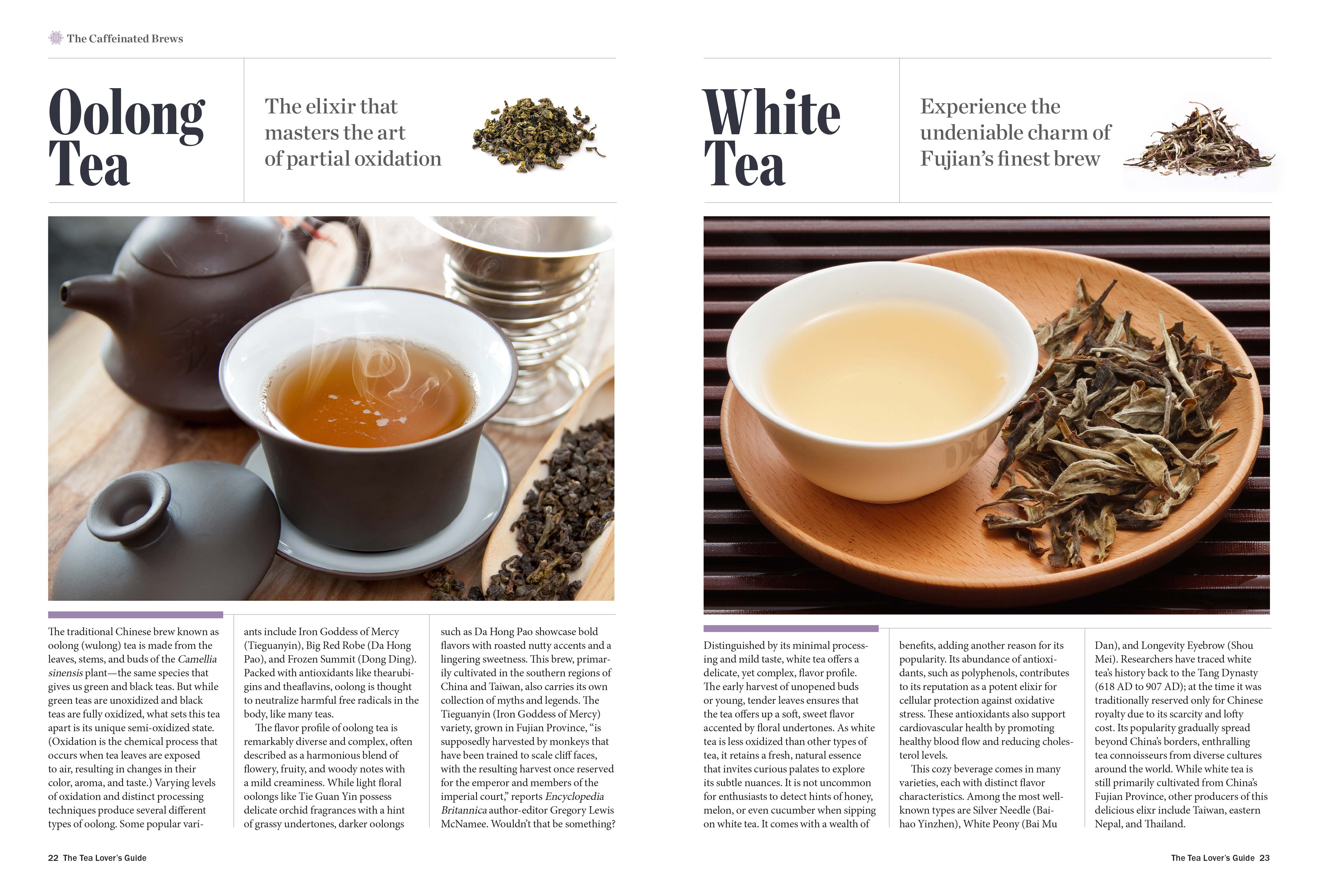 Tea Lover's Handbook - Steeping & Serving Tips For Thousands Of Varieties, Flavor & Chemical Profiles, Earl Grey, Chamomile, Caffeinated Brews, Herbal Tea For Sleep, Cold, Inflammation, Anxiety & More