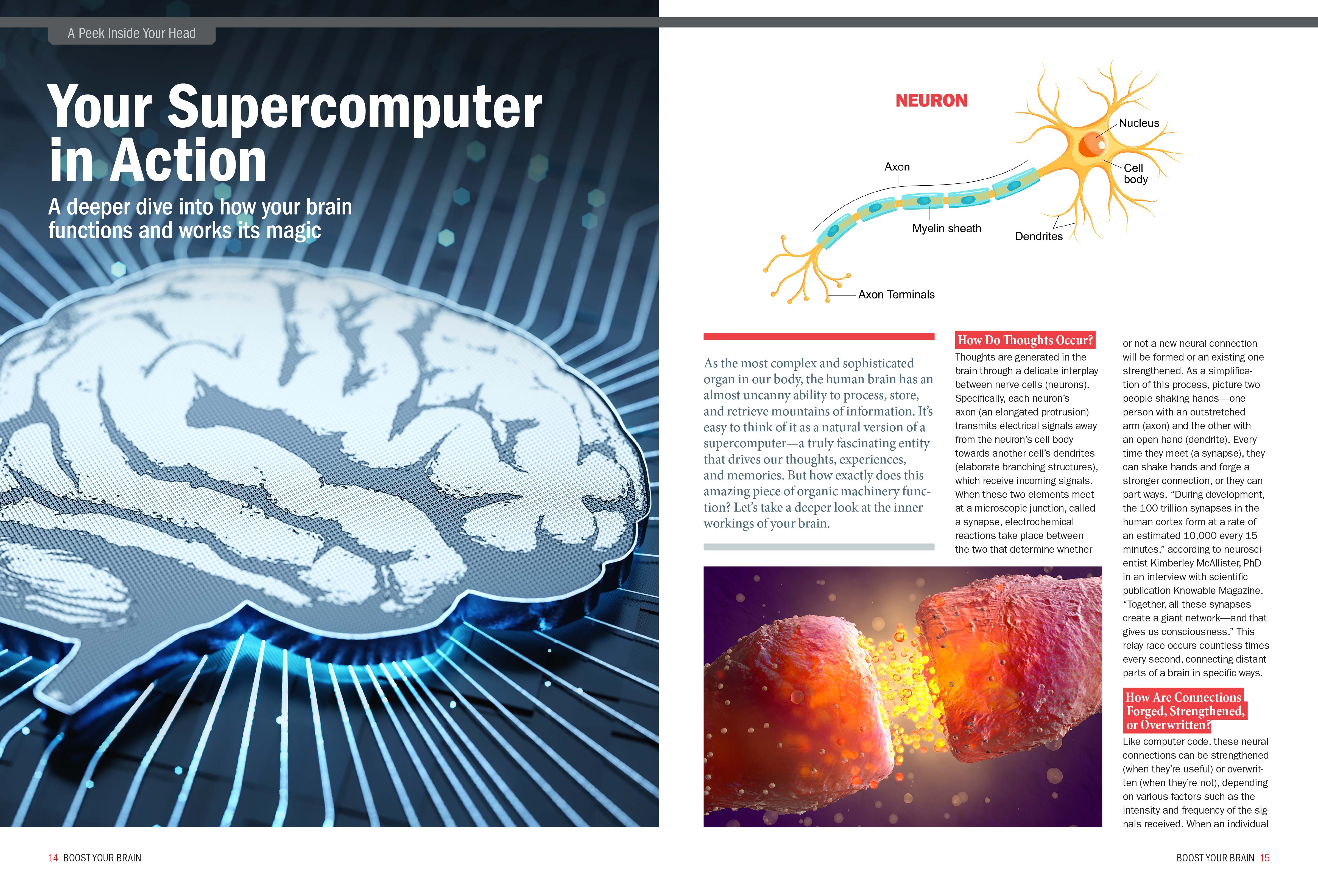 The Future Of Your Brain - Complete Guide: Improve Mental Function, Memory, Recall, Be More Creative & Productive, Reverse Cognitive Decline, Live Longer, Food, Supplements & Artificial Intelligence!