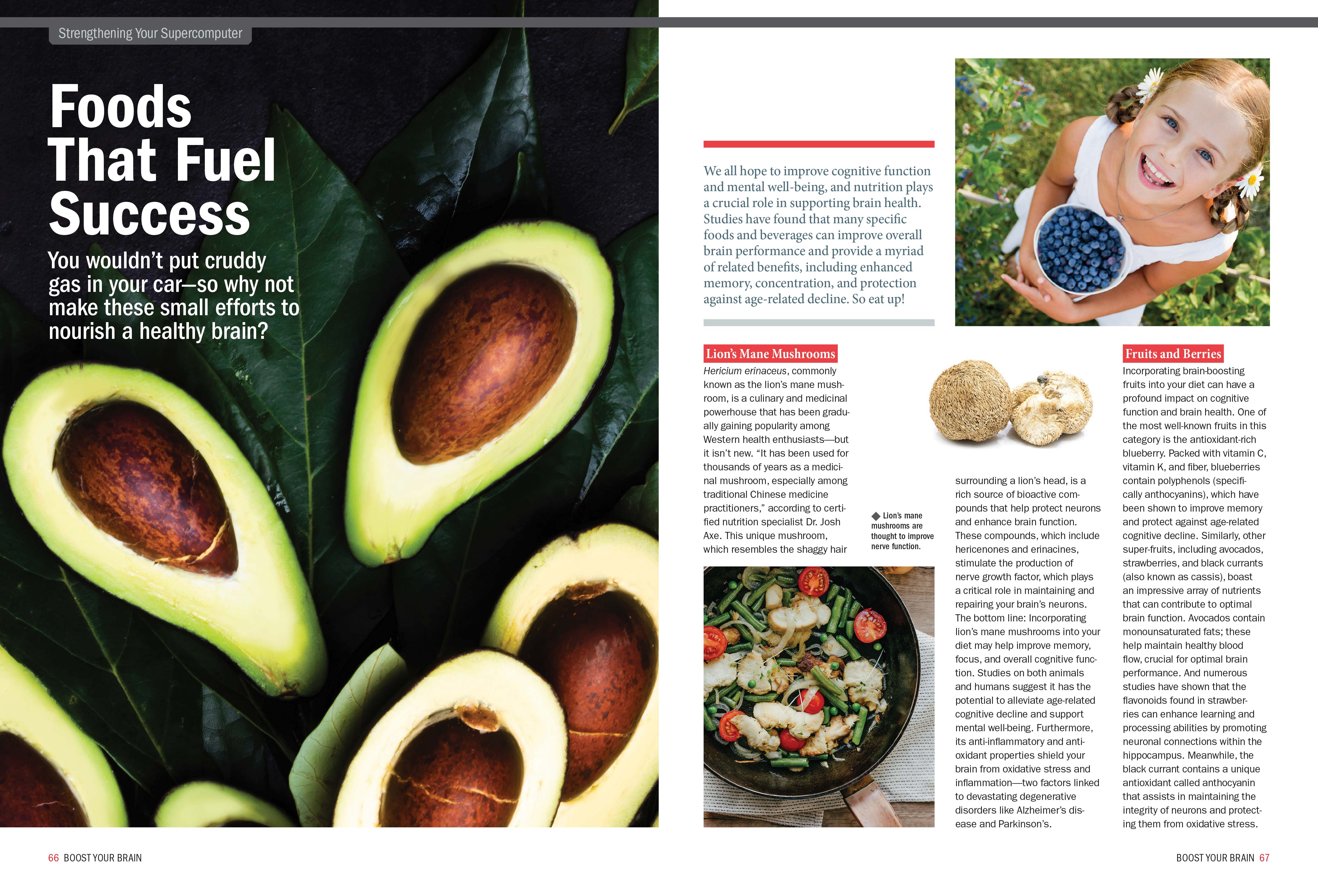 The Future Of Your Brain - Complete Guide: Improve Mental Function, Memory, Recall, Be More Creative & Productive, Reverse Cognitive Decline, Live Longer, Food, Supplements & Artificial Intelligence!