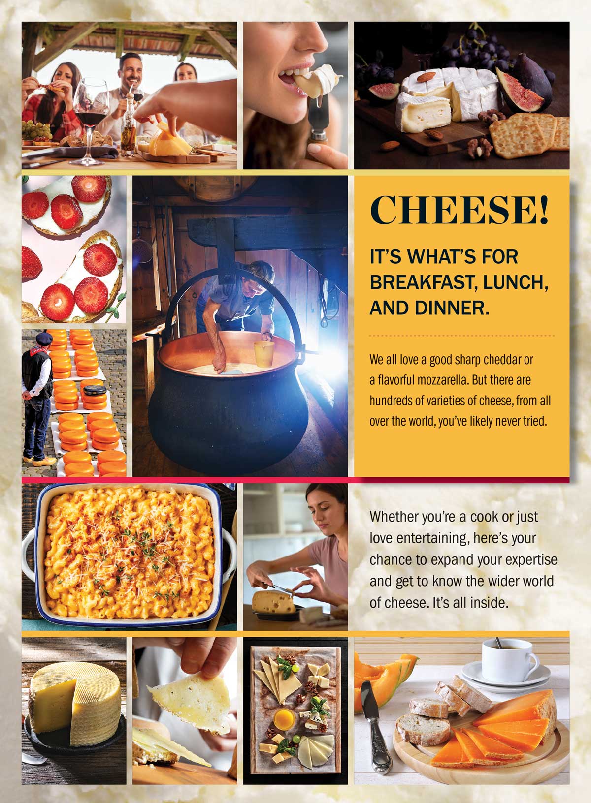 Ultimate Cheese Lover's Handbook - Where They're From, How They're Made, How They Taste, Expert Tips For Choosing, Pairing & Serving, Recipes, Camembert, Gouda, Havarti, Stilton, Pecorino & More!