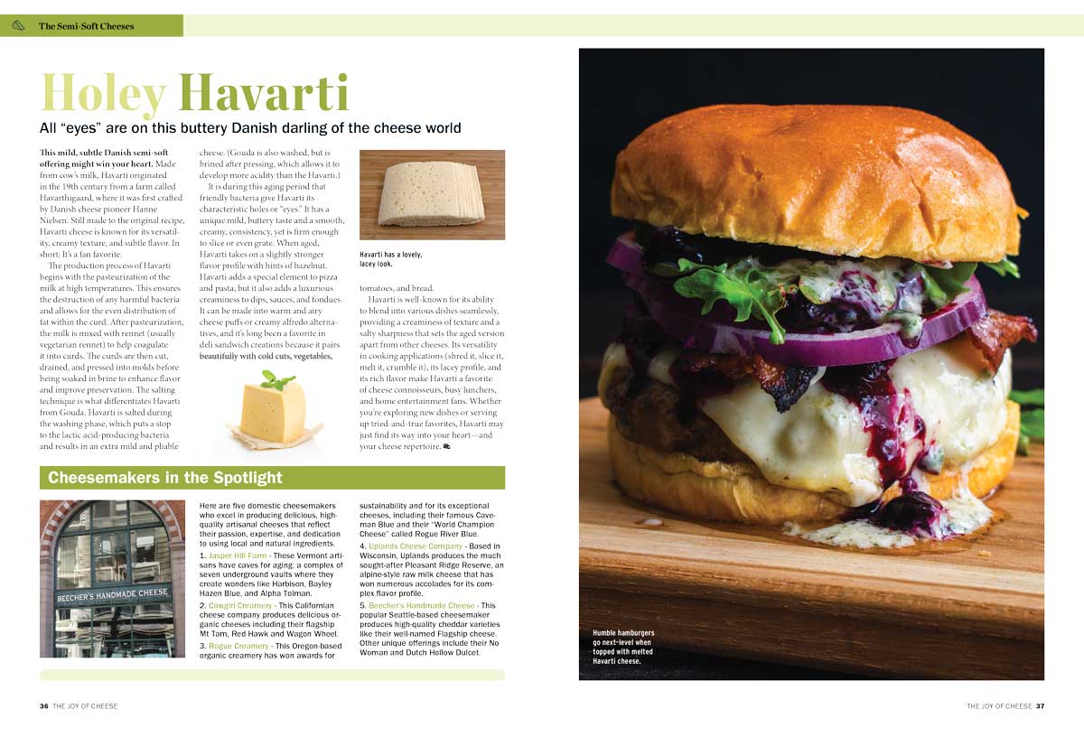 Ultimate Cheese Lover's Handbook - Where They're From, How They're Made, How They Taste, Expert Tips For Choosing, Pairing & Serving, Recipes, Camembert, Gouda, Havarti, Stilton, Pecorino & More!